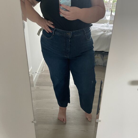 Anthropologie Annie High-Rise Straight-Leg Jeans by Pilcro, Size 20W - Picture 7 of 7